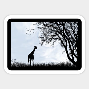 Giraffe In nature Sticker